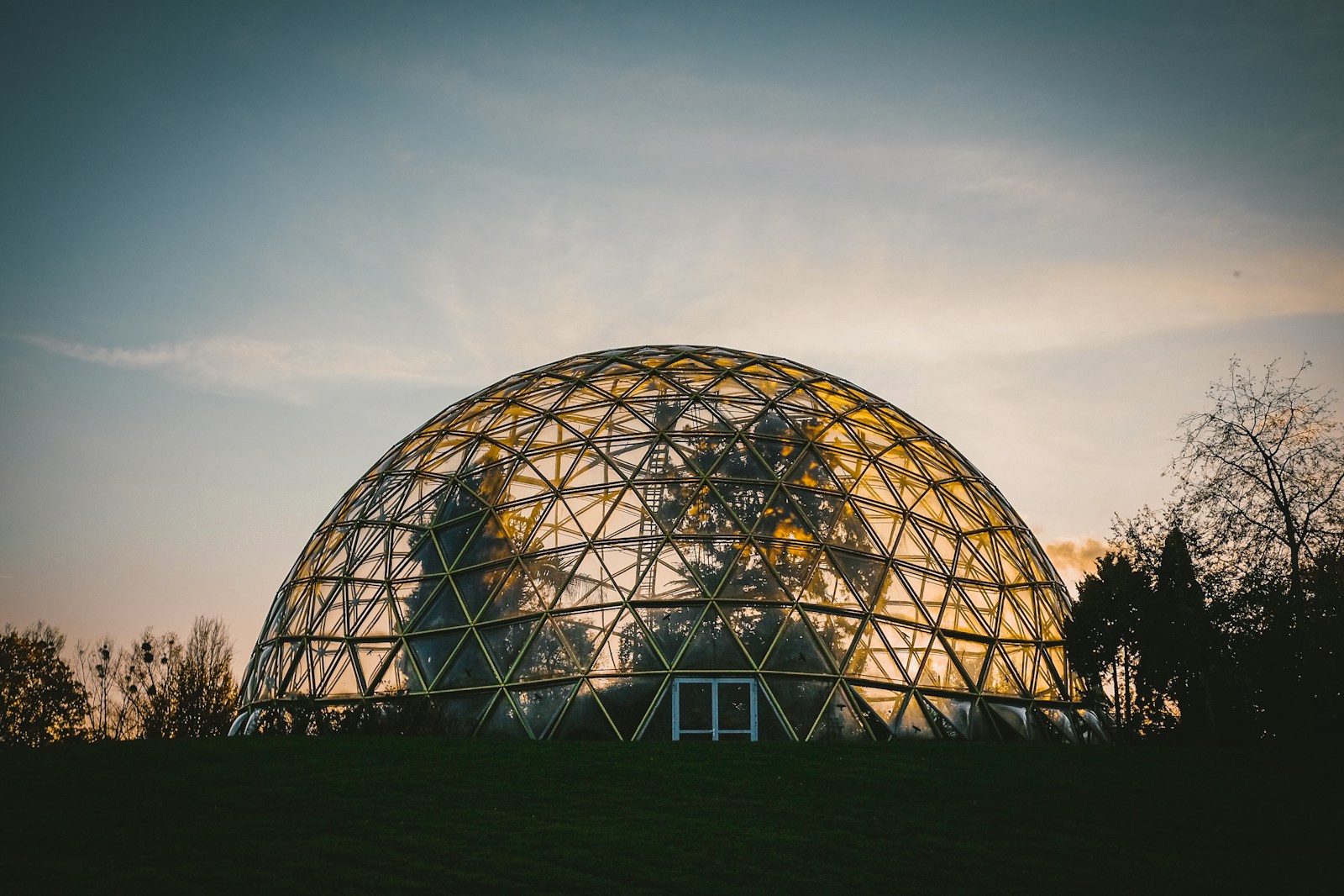 Freedomes – kopuły geodezyjne, mobilna architektura i nowoczesna przestrzeń dla eventów oraz glampingu